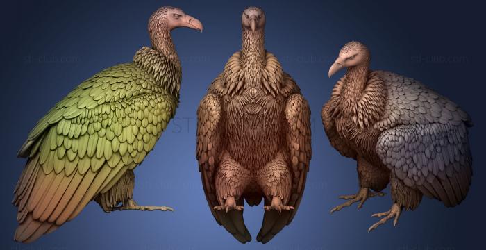 3D model vulture 3 (STL)